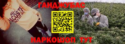 Альфа ПВП Камышлов