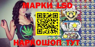 Альфа ПВП Камышлов