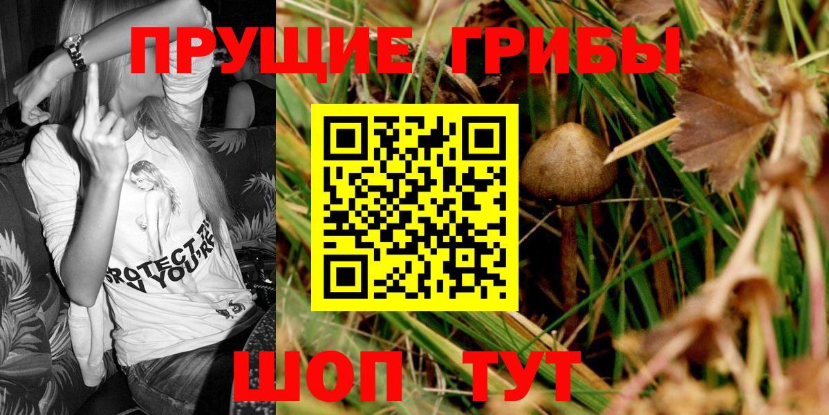 Дюртюли  Галлюциногенные грибы мицелий  Вход с VPN 