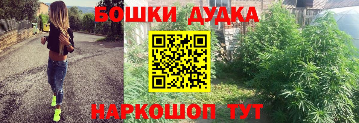 Канабис семена  Канабис сатива  Дюртюли  Вход с VPN 